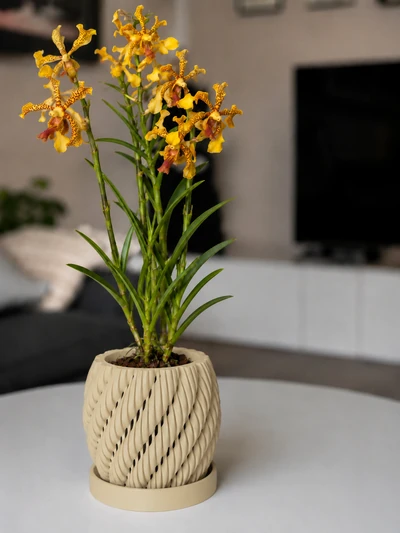Aeris en Arena Desierto