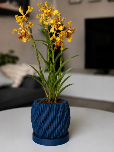 Aeris en Azul Oscuro