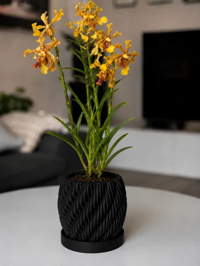 Aeris en Negro Carbon