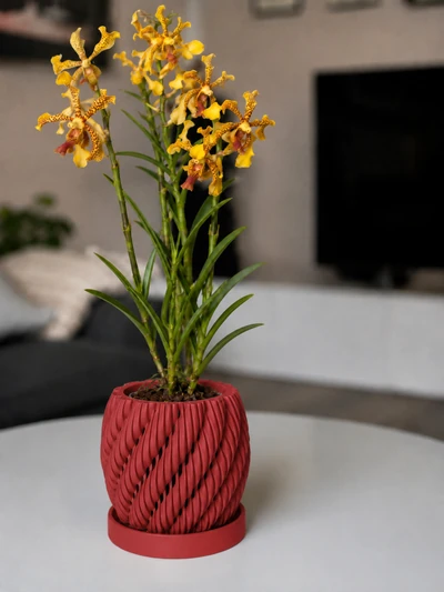 Aeris en Rojo Oscuro