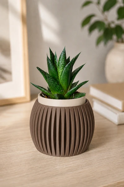 Eggia en Marron Oscuro Blanco Hueso